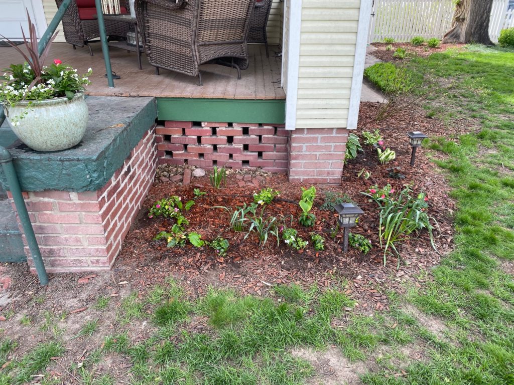 spring flowers just planted